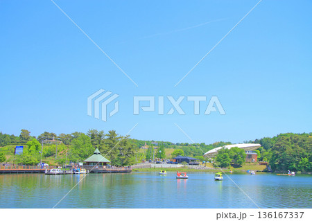 愛知県豊田市、家族連れで賑わう鞍ヶ池公園の風景 136167337