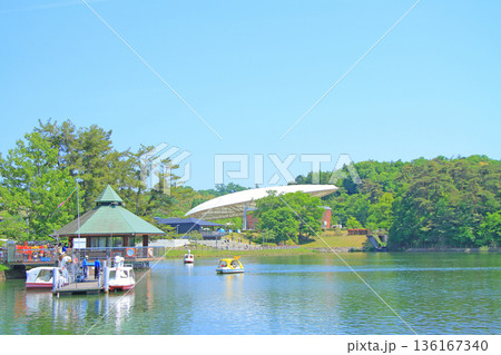愛知県豊田市、家族連れで賑わう鞍ヶ池公園の風景 136167340