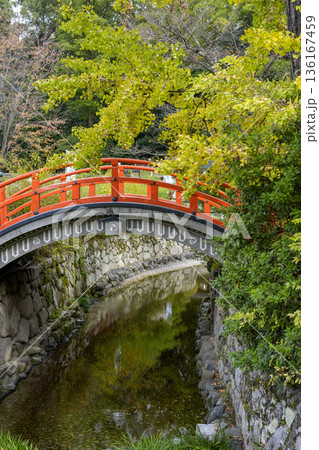 新緑に囲まれた神社の朱色の太鼓橋と水路 136167459