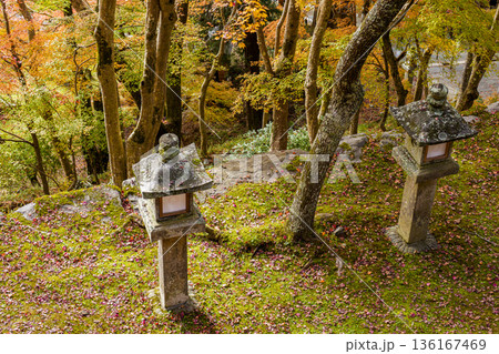紅葉と苔に包まれた神社の石灯籠 136167469