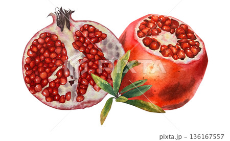 Watercolor illustration juicy pomegranate halves and a green leafy branch in realistic botanical style with rich texture. for packaging, culinary products, textiles, wall art, and autumn-themed decor. Watercolor illustration juicy pomegranate halves and a green leafy branch in realistic botanical style with rich texture. for packaging, culinary products, textiles, wall art, and autumn-themed decor. 136167557
