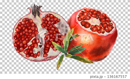 Watercolor illustration juicy pomegranate halves and a green leafy branch in realistic botanical style with rich texture. for packaging, culinary products, textiles, wall art, and autumn-themed decor. Watercolor illustration juicy pomegranate halves and a green leafy branch in realistic botanical style with rich texture. for packaging, culinary products, textiles, wall art, and autumn-themed decor. 136167557