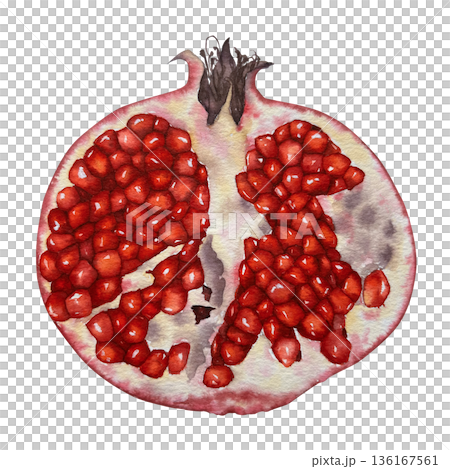Watercolor illustration of a sliced pomegranate viewed from above, with vivid red seeds and pale peel in realistic style. for packaging cosmetics cooking blogs Rosh Hashanah and Halloween themes. Watercolor illustration of a sliced pomegranate viewed from above, with vivid red seeds and pale peel in realistic style. for packaging cosmetics cooking blogs Rosh Hashanah and Halloween themes. 136167561