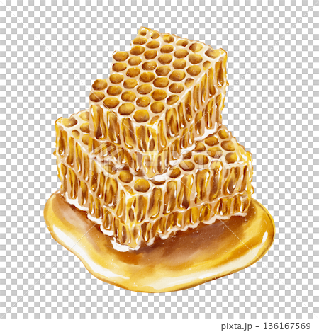 Watercolor illustration two stacked golden honeycombs with thick dripping honey in realistic style with rich texture. for food packaging tea labels cosmetics wellness products and Jewish holidays. 136167569