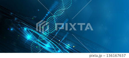Scientific or medica background, DNA strands, connected neural web Scientific or medica background, DNA strands, connected neural web 136167637