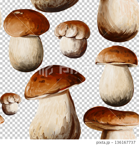 Seamless pattern with porcini mushrooms of various shapes and sizes isolated on a white background. Perfect for packaging, textiles, wallpaper, Watercolor illustration, hand painted 136167737