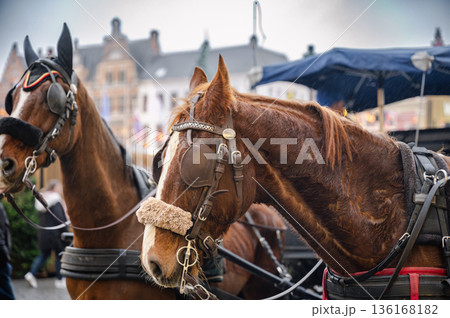 Horse-Drawn Carriage in Bruges Horse-Drawn Carriage in Bruges 136168182