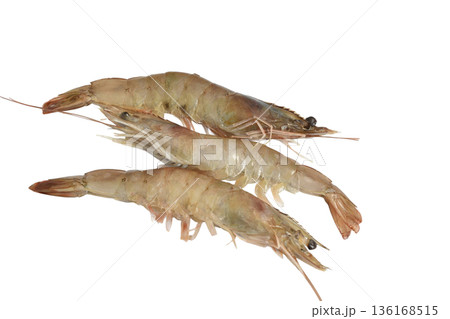 Caridea shrimps in shell, unpeeled. 136168515