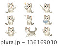 色々なポーズをした猫のイラスト 136169030
