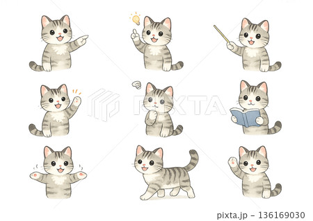 色々なポーズをした猫のイラスト 136169030