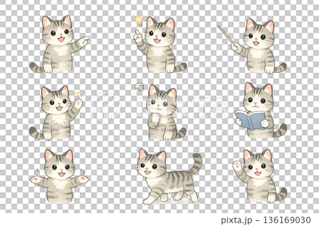 色々なポーズをした猫のイラスト 136169030