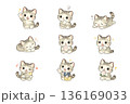 かわいい猫のイラストセット 136169033