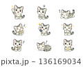 色々なポーズの猫 136169034