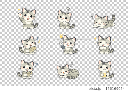 色々なポーズの猫 136169034