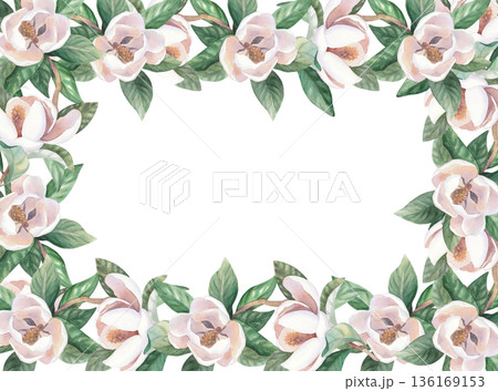 Square frame of a white magnolia. Handmade watercolor illustration. For packaging design, cards, cover, wallpaper, prints, product labels and fabric. Square frame of a white magnolia. Handmade watercolor illustration. For packaging design, cards, cover, wallpaper, prints, product labels and fabric. 136169153