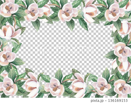 Square frame of a white magnolia. Handmade watercolor illustration. For packaging design, cards, cover, wallpaper, prints, product labels and fabric. Square frame of a white magnolia. Handmade watercolor illustration. For packaging design, cards, cover, wallpaper, prints, product labels and fabric. 136169153