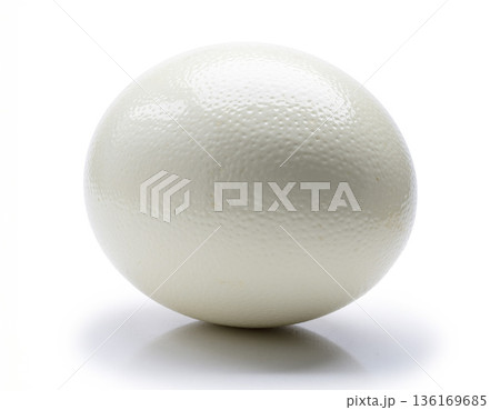 ダチョウの卵 136169685