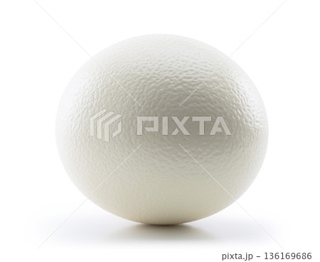 ダチョウの卵 136169686