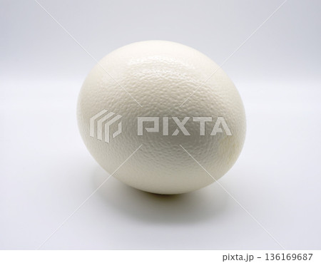 ダチョウの卵 136169687