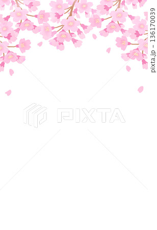 桜の花が咲く背景　フレーム　春 136170039