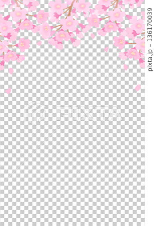 桜の花が咲く背景　フレーム　春 136170039