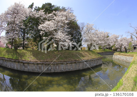 龍岡城五稜郭 龍岡城五稜郭 136170108