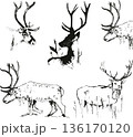 Wild deer drawing on transparent background 136170120