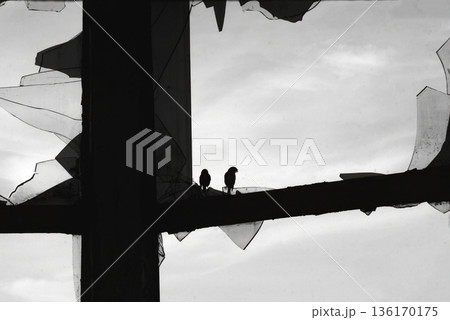 Bird silhouettes on broken window  136170175