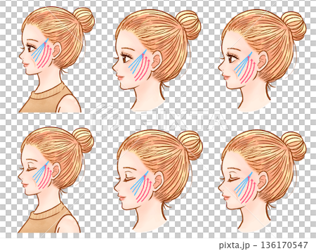 第二組成年女性側臉插畫,髮型為髮髻。 第二組成年女性側臉插畫,髮型為髮髻。 136170547