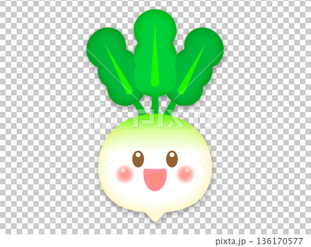 かぶのイラスト素材 136170577