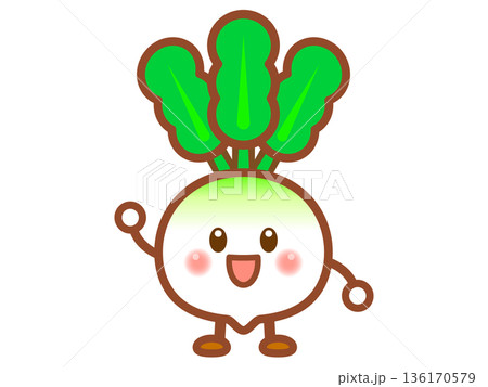 かぶのイラスト素材3 136170579