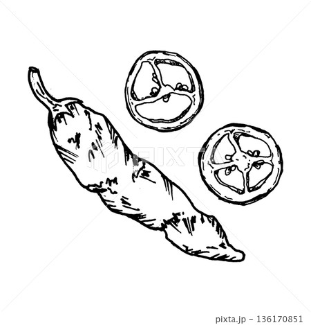 Black and white vector illustration of hot chili pepper and sliced pieces. Hand drawn spicy food in ink line art style for restaurant menus, packaging, cooking concepts and cuisine related designs. Black and white vector illustration of hot chili pepper and sliced pieces. Hand drawn spicy food in ink line art style for restaurant menus, packaging, cooking concepts and cuisine related designs. 136170851