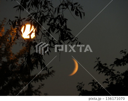 Mysterious Crescent Moon on dark Night sky. Half moon in growing phase. In the foreground, there are trees illuminated by a streetlight. Mysterious Crescent Moon on dark Night sky. Half moon in growing phase. In the foreground, there are trees illuminated by a streetlight. 136171070