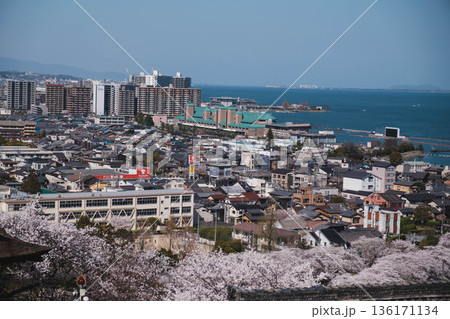 [三井寺]西大津の町並みとびわ湖が一望できる風景 136171134