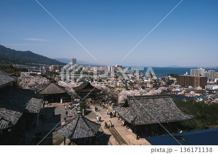 [三井寺]歴史深いお寺の境内の風景 136171138