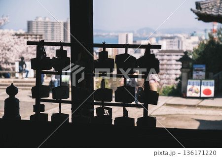 [三井寺]歴史深いお寺の風景 136171220