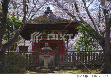 [三井寺]歴史深いお寺の境内の風景 136171263