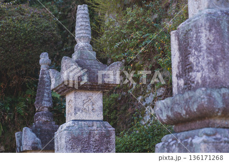 [三井寺]歴史深いお寺の境内の風景 136171268