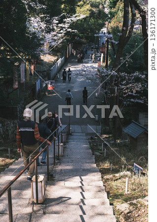 [三井寺]長い階段が続く 136171300