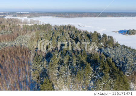 Snowy pine forest fringes a vast frozen arable fields in aerial shot from drone 136171471