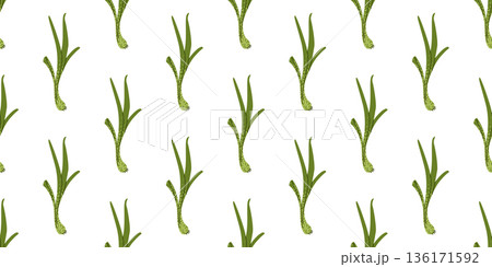 Leek Seamless Vegetable Food Pattern 136171592