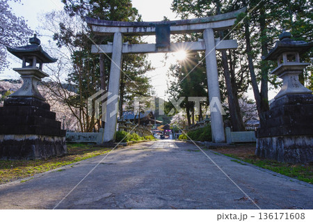 [琵琶湖第1疏水]大きな鳥居が印象的な風景 136171608