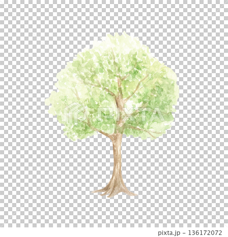 Tree with green leaves as a landscape element. Hand drawn watercolor illustration isolated. Pastel clip art for vintage Easter cards and invitations. Perfect for spring and summer posters and banners. Tree with green leaves as a landscape element. Hand drawn watercolor illustration isolated. Pastel clip art for vintage Easter cards and invitations. Perfect for spring and summer posters and banners. 136172072