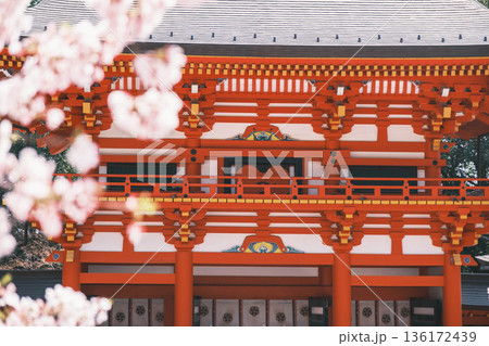 [近江神宮]滋賀県にある歴史的な神社の風景 136172439