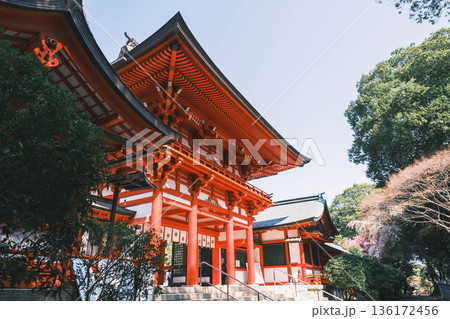 [近江神宮]滋賀県にある歴史的な神社の風景 136172456