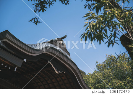 [近江神宮]滋賀県にある歴史的な神社の風景 136172479