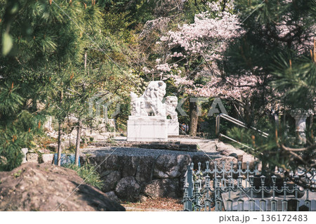 [近江神宮]滋賀県にある歴史的な神社の風景 136172483