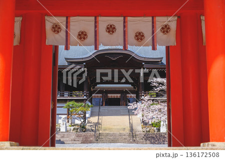 [近江神宮]滋賀県にある歴史的な神社の風景 136172508