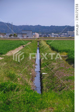 [野洲エリア]自然豊かな風景 136172558