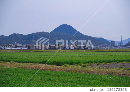 [野洲エリア]自然豊かな風景 136172568